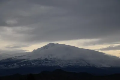 DSC_2619 (Large).JPG